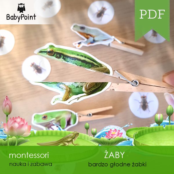 ZABY - Zestaw edukacyjny 3D