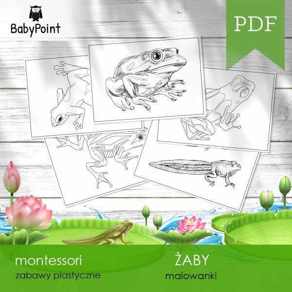 ZABY - Zestaw edukacyjny 3D