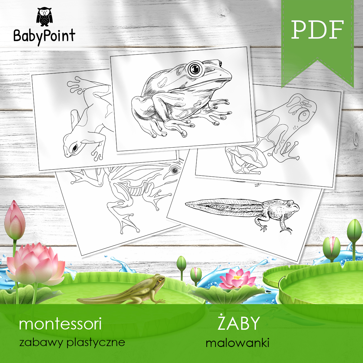 ZABY - Zestaw edukacyjny 3D ZABY - Zestaw edukacyjny 3D