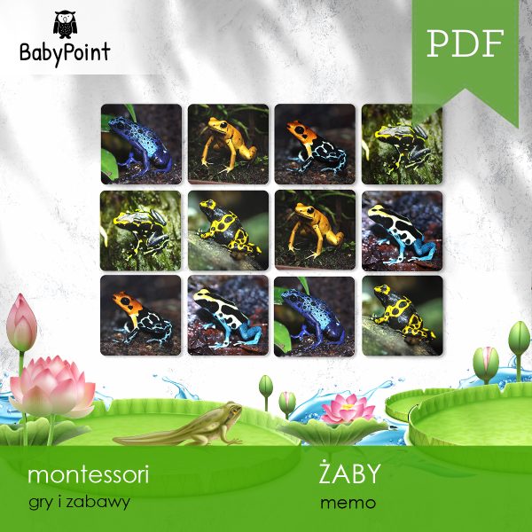 ZABY - Zestaw edukacyjny 3D