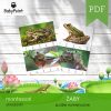 ZABY - Zestaw edukacyjny 3D