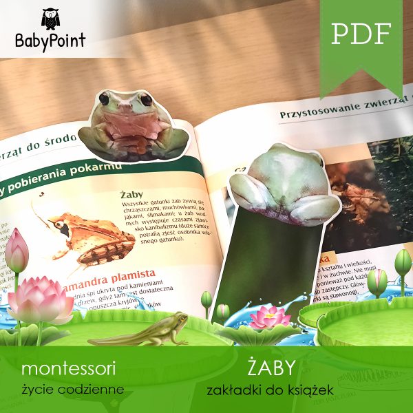 ZABY - Zestaw edukacyjny 3D