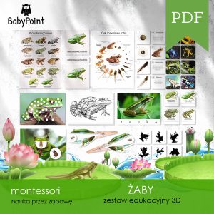 ZABY - Zestaw edukacyjny 3D