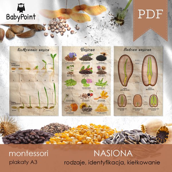 NASIONA - Plakaty A3