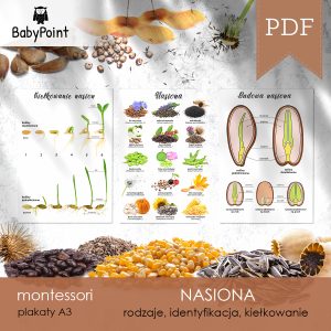 NASIONA - Plakaty A3