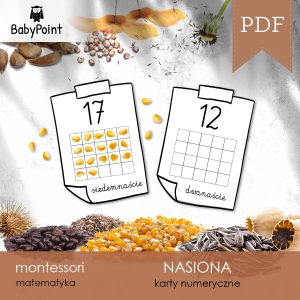 NASIONA - Zestaw edukacyjny 3D