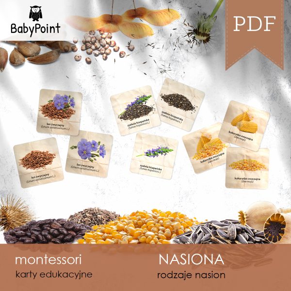 NASIONA - Karty edukacyjne