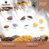 NASIONA - Karty edukacyjne