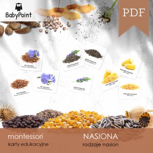 NASIONA - Karty edukacyjne