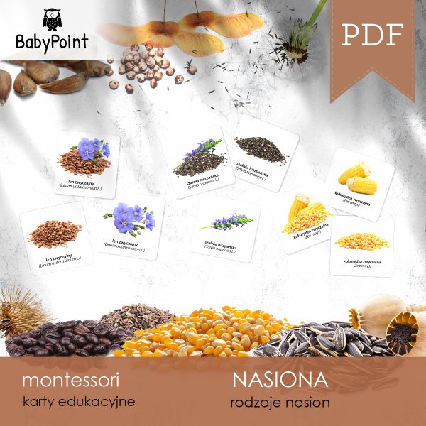 NASIONA - Karty edukacyjne