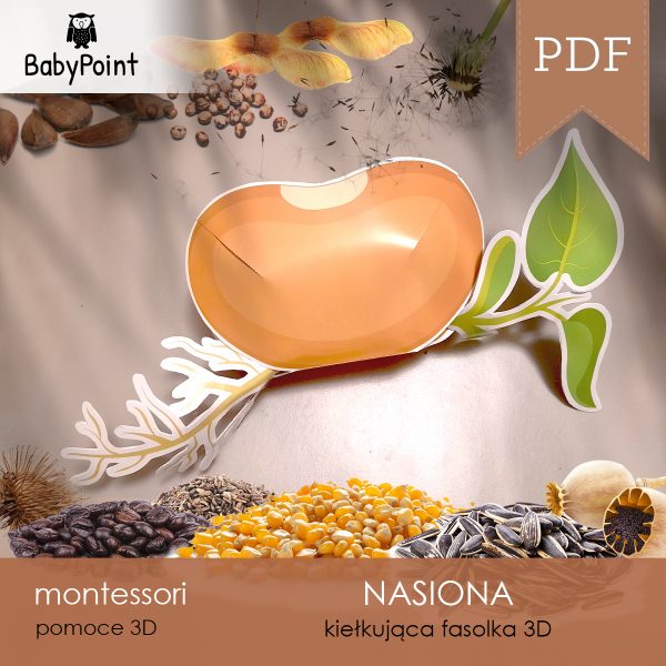 NASIONA - Zestaw edukacyjny 3D