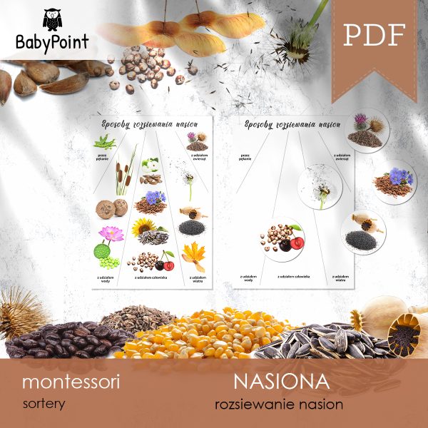 NASIONA - Rozsiewanie nasion