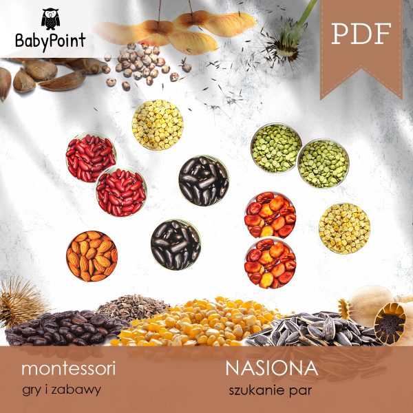 NASIONA - Zestaw edukacyjny 3D
