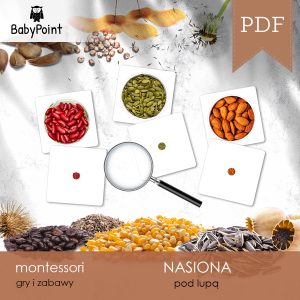 NASIONA - Zestaw edukacyjny 3D