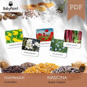 NASIONA - Zestaw edukacyjny 3D