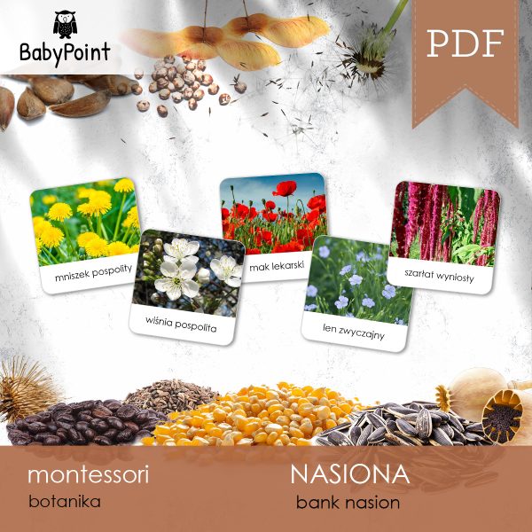 NASIONA - Zestaw edukacyjny 3D