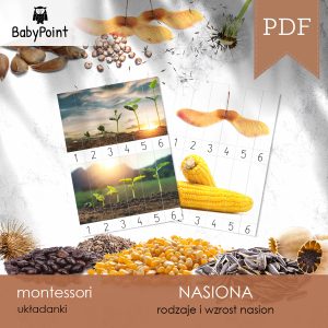 NASIONA - Zestaw edukacyjny 3D