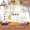 NASIONA - Zestaw edukacyjny 3D