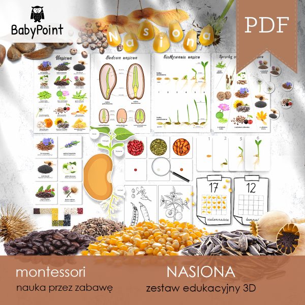 NASIONA - Zestaw edukacyjny 3D