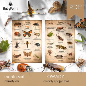 OWADY - Zestaw edukacyjny 3D