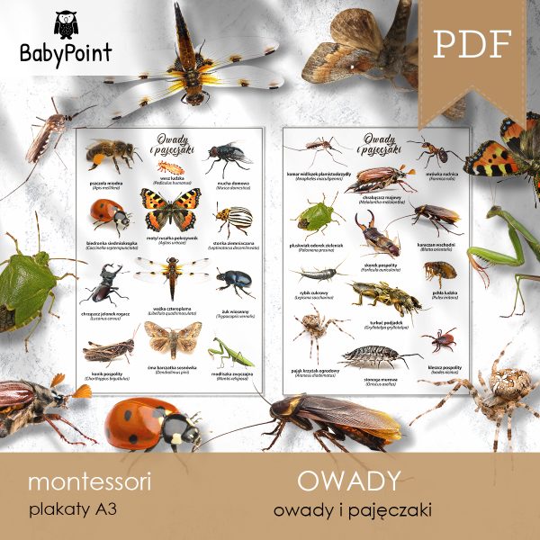 OWADY - Zestaw edukacyjny 3D