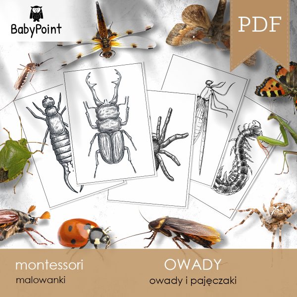 OWADY - Zestaw edukacyjny 3D