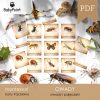 OWADY - Zestaw edukacyjny 3D