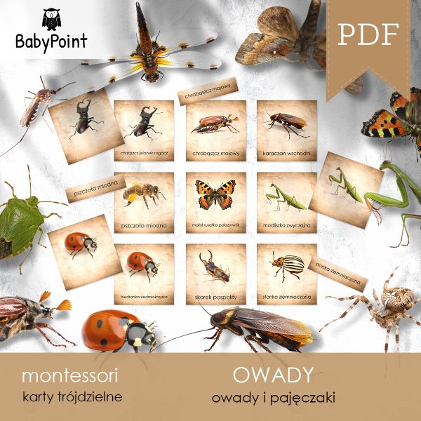 OWADY - Zestaw edukacyjny 3D