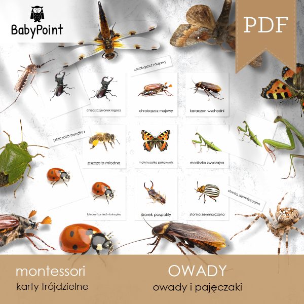 OWADY - Zestaw edukacyjny 3D