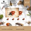 OWADY - Zestaw edukacyjny 3D