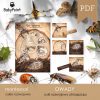 OWADY - Zestaw edukacyjny 3D