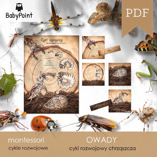 OWADY - Zestaw edukacyjny 3D