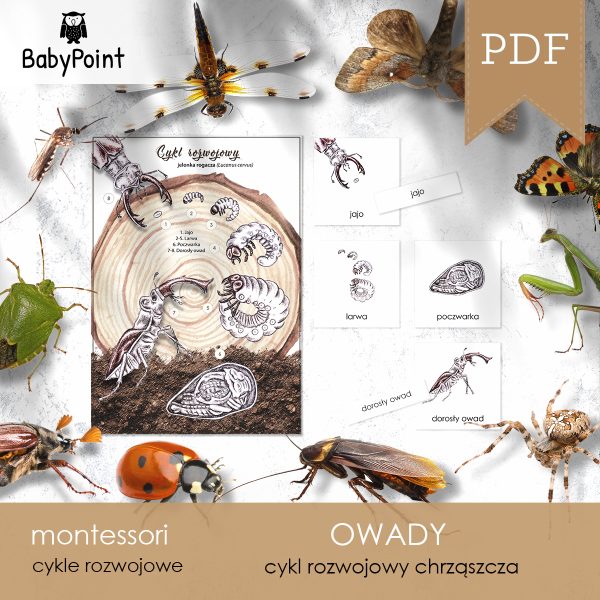 OWADY - Zestaw edukacyjny 3D