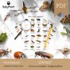 OWADY - Zestaw edukacyjny 3D