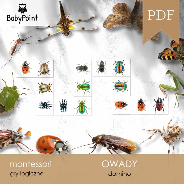 OWADY - Zestaw edukacyjny 3D