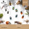 OWADY - Zestaw edukacyjny 3D