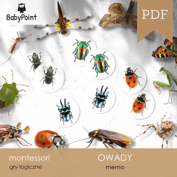 OWADY - Zestaw edukacyjny 3D