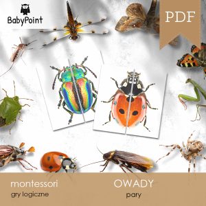 OWADY - Zestaw edukacyjny 3D