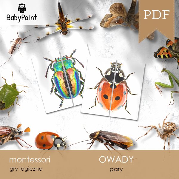 OWADY - Zestaw edukacyjny 3D