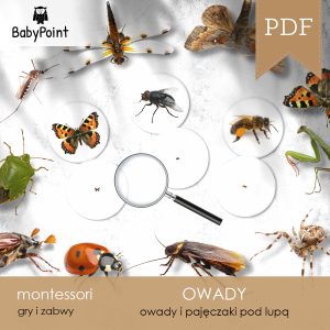 OWADY - Zestaw edukacyjny 3D