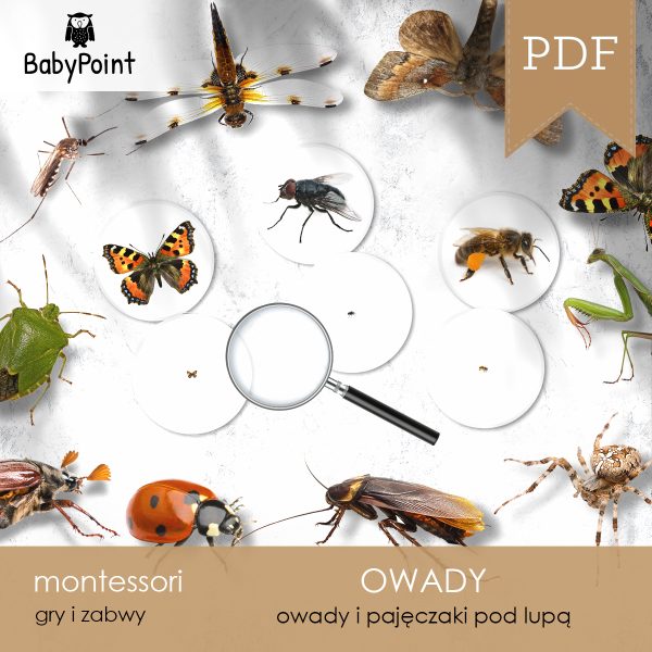 OWADY - Zestaw edukacyjny 3D