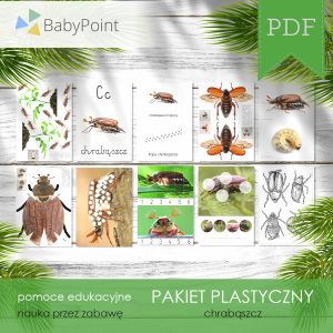 PAKIET PLASTYCZNY - Chrząszcz