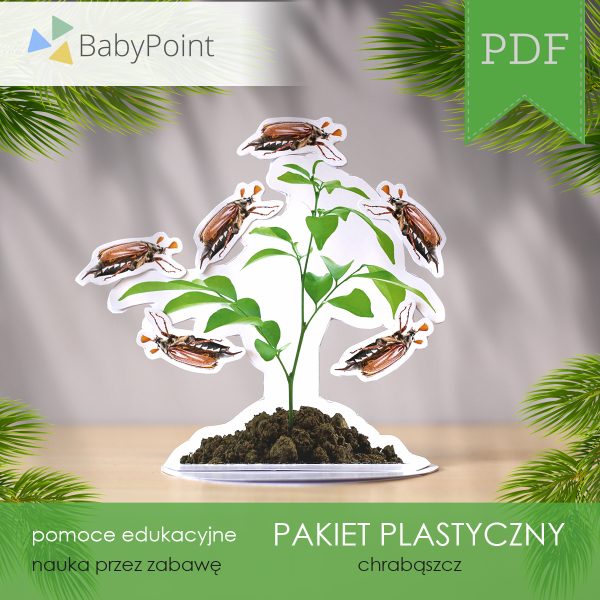 PAKIET PLASTYCZNY - Chrząszcz