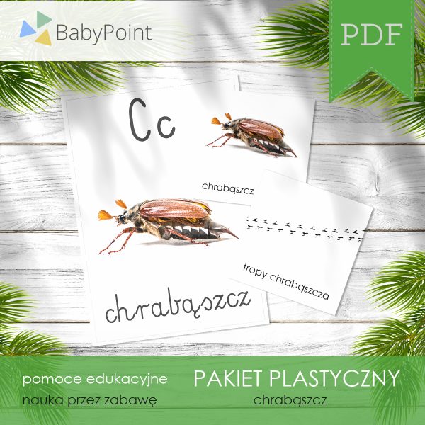 PAKIET PLASTYCZNY - Chrząszcz