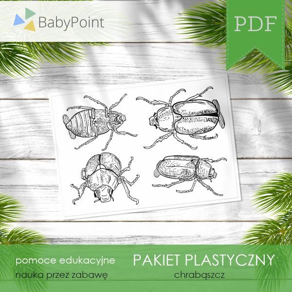 PAKIET PLASTYCZNY - Chrząszcz