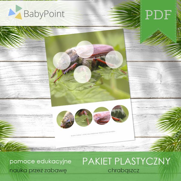 PAKIET PLASTYCZNY - Chrząszcz