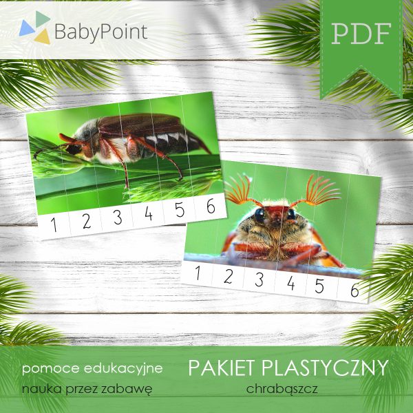 PAKIET PLASTYCZNY - Chrząszcz