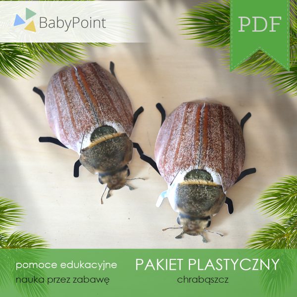 PAKIET PLASTYCZNY - Chrząszcz