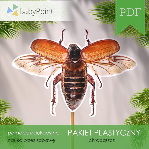 PAKIET PLASTYCZNY - Chrząszcz
