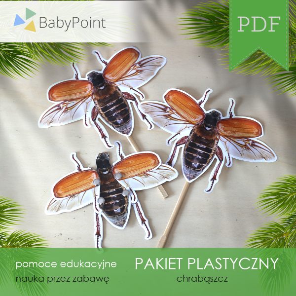 PAKIET PLASTYCZNY - Chrząszcz